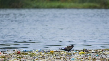 Colombia, Jamaica y Panamá se unen para combatir la contaminación urbana del plástico