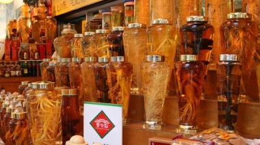 OMS busca integrar medicina tradicional a sistemas de salud