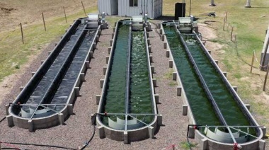 Arrancó a funcionar la primera planta de tratamiento de aguas con microalgas de la Argentina