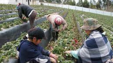 La trayectoria del primer crédito agrícola en Ecuador dirigido a la agricultura familiar campesina