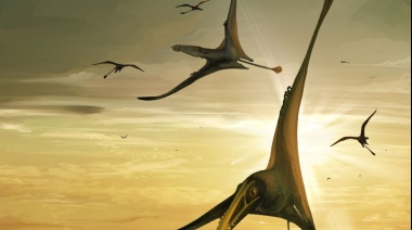 Encontraron en la Patagonia restos de uno de los reptiles voladores gigantes más antiguos de América del Sur
