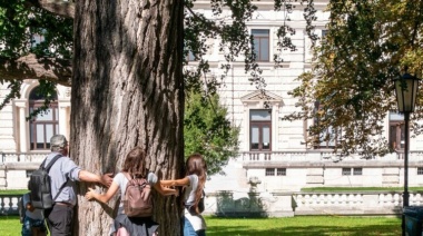 Las siete “C” de la educación
