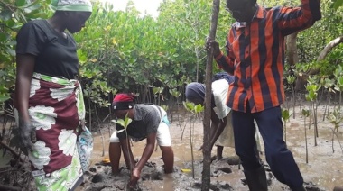 Mujeres indígenas y de minorías costeras lideran conservación del Bosque Azul de Kenia
