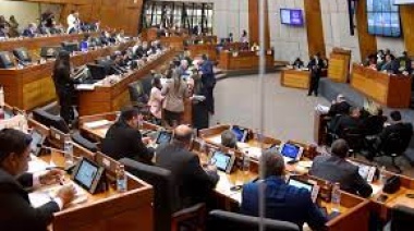 Cámara de Diputados dio media sanción al proyecto Hambre Cero: