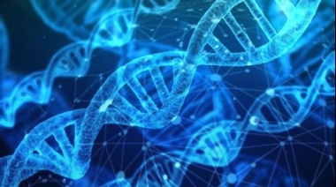 Desregulación de la Biotecnología: Liberación de organismos de edición genómica