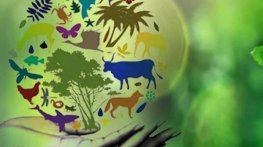 Del paradigma de la producción al de la habitabilidad