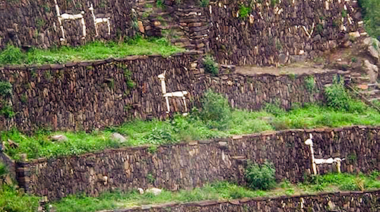 Perú: La llama en contextos históricos y geográficos