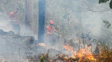 La Corte Suprema de Brasil autoriza presupuesto extra para combatir los feroces incendios