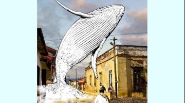 La tierra de la ballena de Cuba en Festival de cine de La Habana