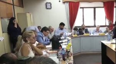 Lambaré: Quedan sin cuórum para solicitar permiso sin goce de sueldo a la concejala Carolina González