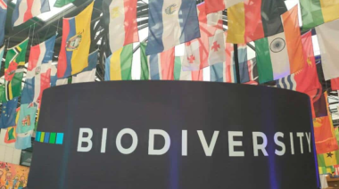 Un acuerdo en el último minuto salva la COP16
