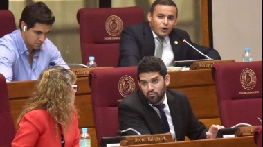 Envían a comisión el proyecto que insta a Peña a destituir a la ministra de Salud