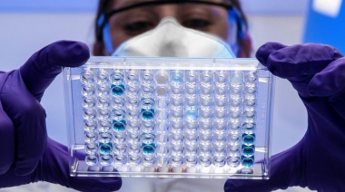 Cáncer: avanza una terapia que refuerza las defensas del organismo y ataca al tumor