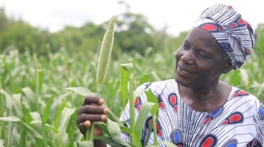 Campesinos de Zimbabue lideran investigación sobre agricultura de conservación