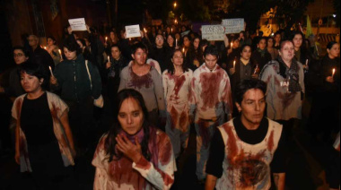 Diferentes Organizaciones pidieron justicia por María Fernanda Benítez