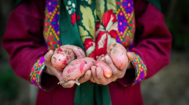 El hambre disminuye en el mundo, pero aumenta en África y Asia occidental