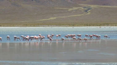 Comunidades indígenas registran el primer “Territorio de Vida” de Argentina en Salta