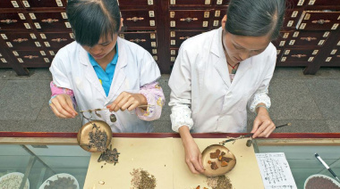 La inteligencia artificial y la medicina tradicional: un encuentro entre tecnología y sabiduría ancestral
