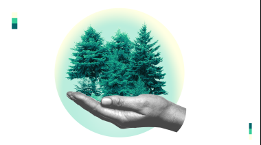 Carácter político de los bosques