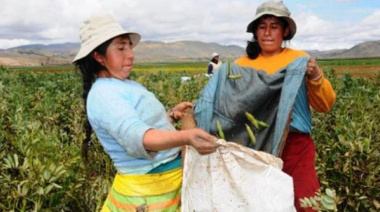 Mujeres migrantes sostienen la cosecha en Chile en medio de precariedad laboral