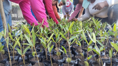 Guatemala: mancomunidad de la costa sur impulsa viveros y plantas de reciclaje como estrategia contra el cambio climático