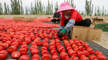 China tiene todos los números para apostar a Xinjiang