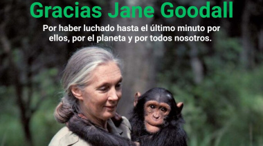 Gracias Jane Goodall
