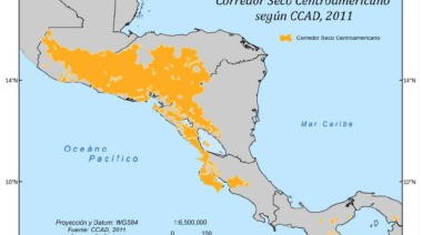 Desertificación en el siglo XXI: una amenaza silenciosa que ya golpea a Centroamérica