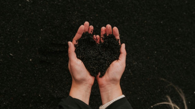 Besa el suelo, la revolución silenciosa bajo nuestros pies