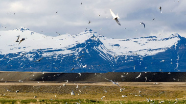 El Ártico se acerca a un punto crítico: deshielo récord, ríos “oxidados” y una tundra que verdea