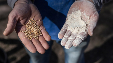 Nuevo cuaderno de la 3ª Escuela de Agroecologías del Sur: «La sistematización como cosecha»