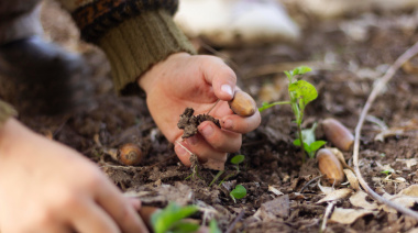 La batalla por las semillas en América Latina: cómo avanza el cerco legal y cómo responden los pueblos