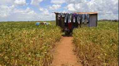 Concentración y desigualdad en la tenencia de la tierra en Paraguay: de la configuración histórica a las dinámicas contemporáneas