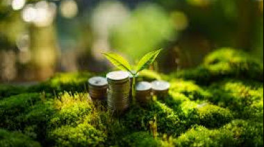 Inversiones que dañan la naturaleza superan 30 a 1 a las que la protegen