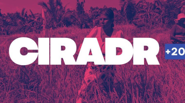 Viene la II CIRARDR+20: pueblos y organizaciones se movilizan