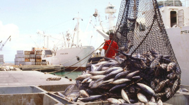 ¿El pescado que pagas es el que comes? El fraude que engaña al consumidor y pone en riesgo la salud