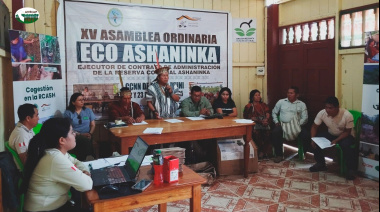 Lecciones de las comunidades indígenas de América Latina para promover soluciones climáticas para el mundo