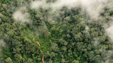 Gran Chaco se posiciona en Bruselas en medio de la nueva regulación europea contra la deforestación