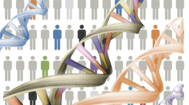 99,9% iguales… y atrapados en la lógica de la dominación