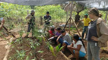 Las redes de cuidado comunitario también sostienen el ambiente, según un estudio regional