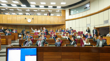 El Senado se impone a Valdovinos y aprueba su versión de la reforma jubilatoria