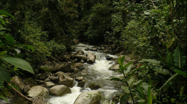 Caso Anchicayá: injusticias ambientales y derechos