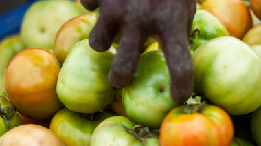 Medidas para asegurar la soberanía alimentaria en África