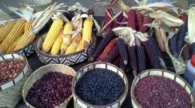 Ante la guerra, soberanía alimentaria y agroecología