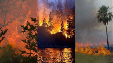 Jóvenes emprendedores recaudan US$2,7 millones para detectar incendios con IA antes que sistemas tradicionales