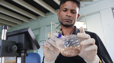 Larvas que transforman residuos en proteína: una iniciativa en el Caribe busca fortalecer sistemas alimentarios