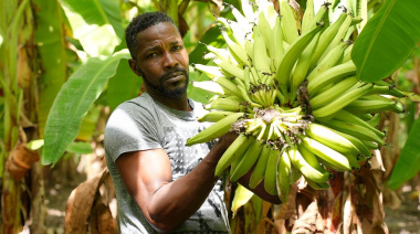 América Latina y el Caribe se acostumbran a no crecer mucho económicamente