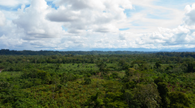 Justicia ambiental y desarrollo resiliente: La promesa del Acuerdo de Escazú