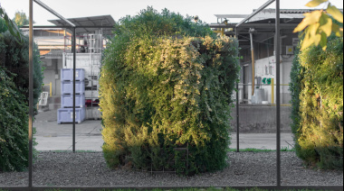 Biofiltración basada en microorganismos y vegetación transforman la calefacción a leña en combustión limpia