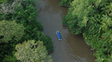 Sudamérica registró la mayor pérdida de bosques del planeta en la última década